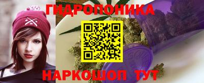 гидра Бийск