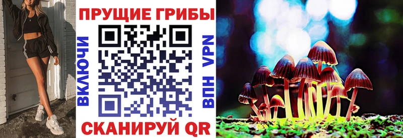 площадка состав  сколько стоит  Серпухов  Псилоцибиновые грибы MAGIC MUSHROOMS 