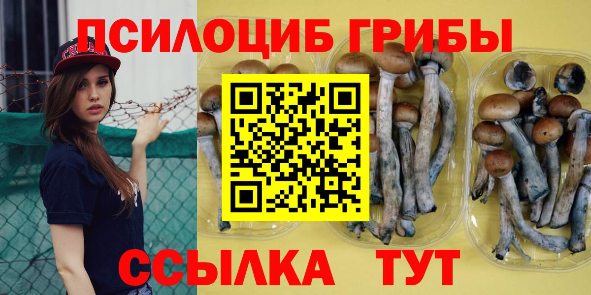 Галлюциногенные грибы прущие грибы Серпухов