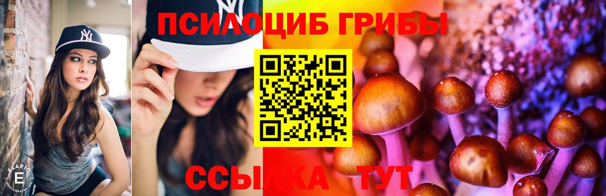 Псилоцибиновые грибы MAGIC MUSHROOMS  Галлюциногенные грибы Magic Shrooms  Вход с VPN  Серпухов 